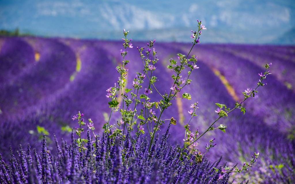 Top des destinations en village vacances pension complète