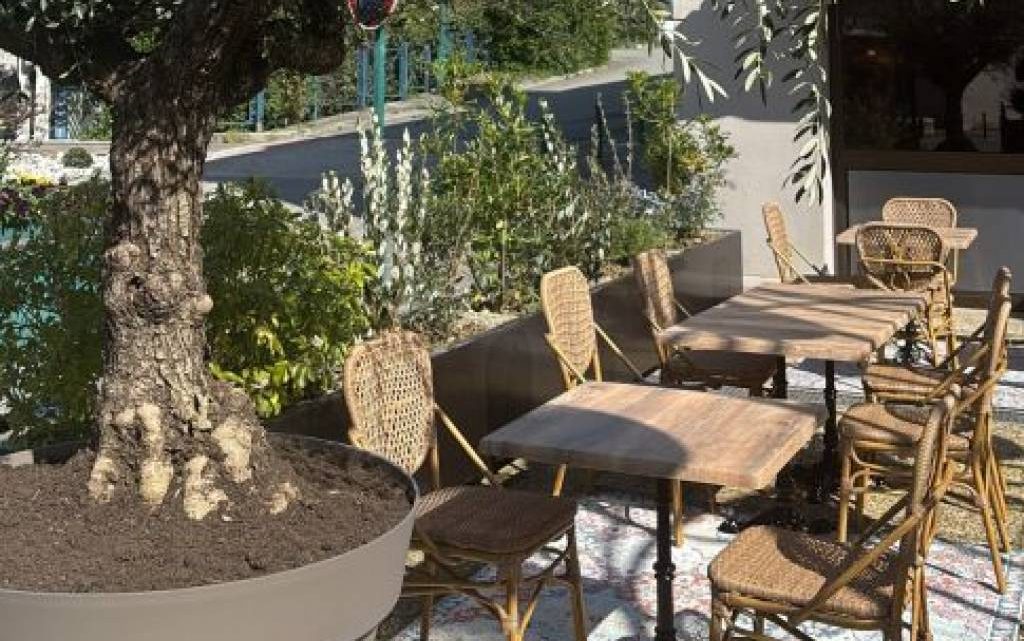 Confort et design : allier esthétique et ergonomie pour vos chaises