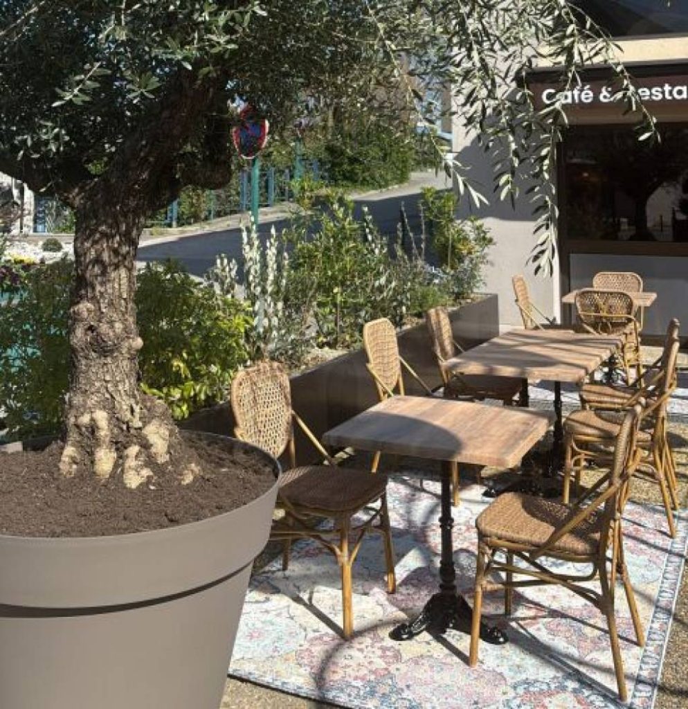 Confort et design : allier esthétique et ergonomie pour vos chaises